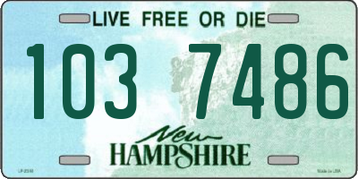 NH license plate 1037486
