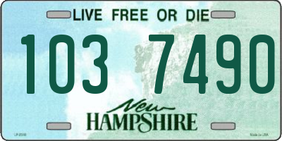 NH license plate 1037490