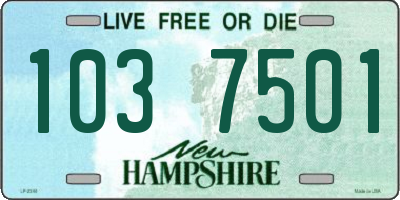 NH license plate 1037501