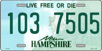 NH license plate 1037505