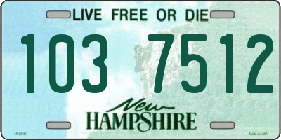 NH license plate 1037512