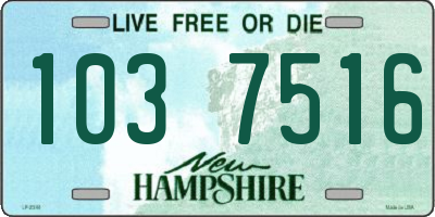 NH license plate 1037516