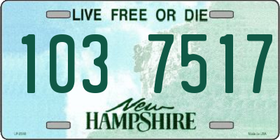 NH license plate 1037517