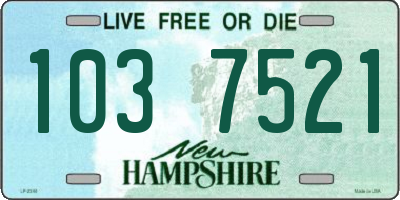 NH license plate 1037521