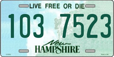 NH license plate 1037523