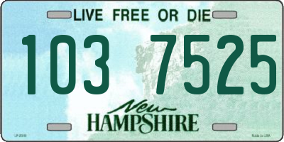 NH license plate 1037525
