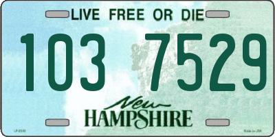 NH license plate 1037529