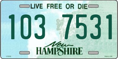 NH license plate 1037531