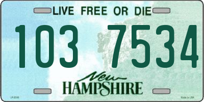 NH license plate 1037534