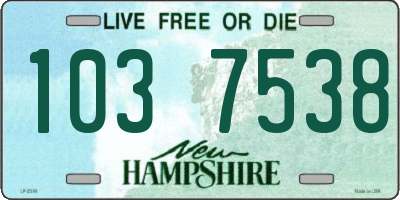 NH license plate 1037538