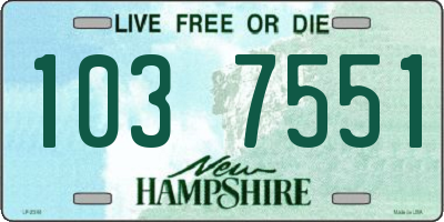 NH license plate 1037551
