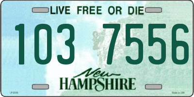 NH license plate 1037556