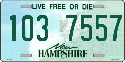NH license plate 1037557