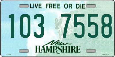 NH license plate 1037558