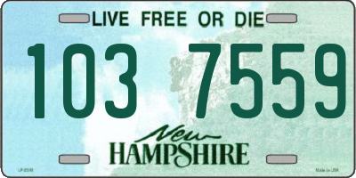 NH license plate 1037559
