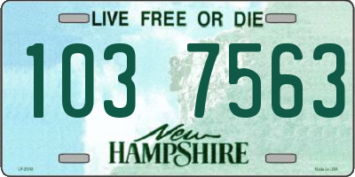 NH license plate 1037563