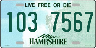NH license plate 1037567