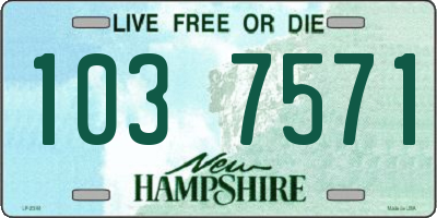 NH license plate 1037571