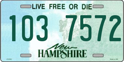 NH license plate 1037572