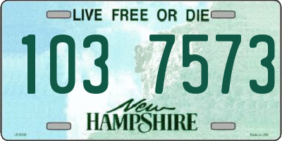 NH license plate 1037573