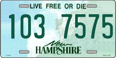 NH license plate 1037575