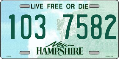NH license plate 1037582