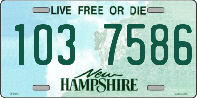 NH license plate 1037586