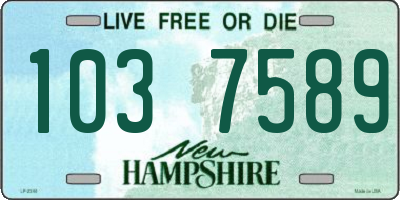 NH license plate 1037589