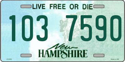 NH license plate 1037590