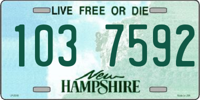NH license plate 1037592