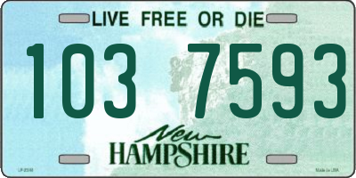 NH license plate 1037593