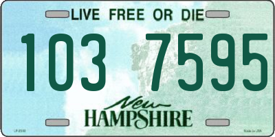 NH license plate 1037595
