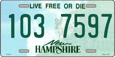 NH license plate 1037597