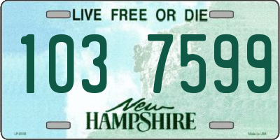 NH license plate 1037599