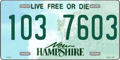 NH license plate 1037603