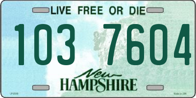 NH license plate 1037604