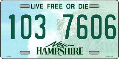 NH license plate 1037606