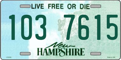NH license plate 1037615
