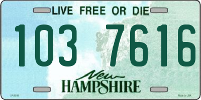 NH license plate 1037616
