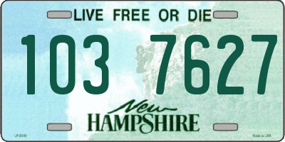 NH license plate 1037627
