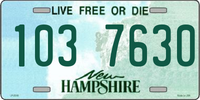 NH license plate 1037630