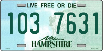 NH license plate 1037631