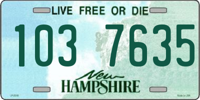 NH license plate 1037635