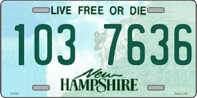 NH license plate 1037636