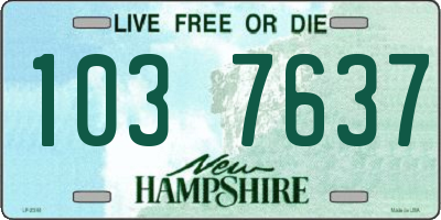 NH license plate 1037637