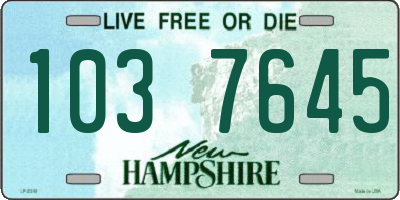 NH license plate 1037645