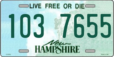 NH license plate 1037655