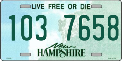 NH license plate 1037658