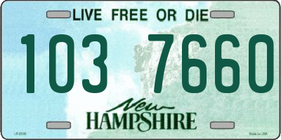 NH license plate 1037660