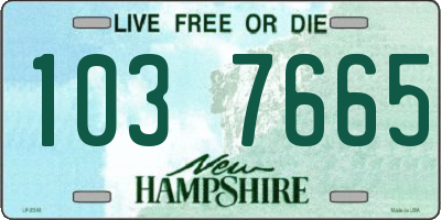 NH license plate 1037665